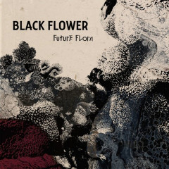 blackflower