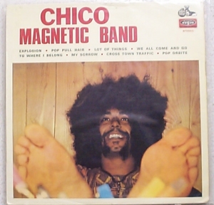 chicomagneticband    